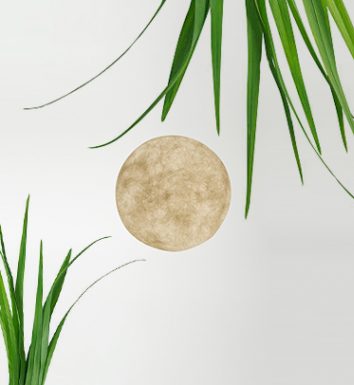 A. Moon Out
